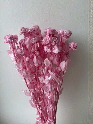 Кустовые розы Розовый (упаковка)