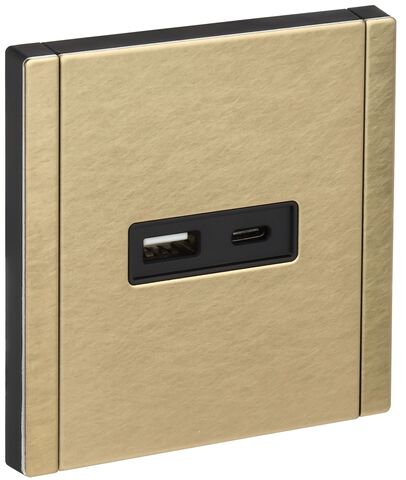 FORTE&PIANO Роз. USB A+C 3,1А FP650M шам. IEK