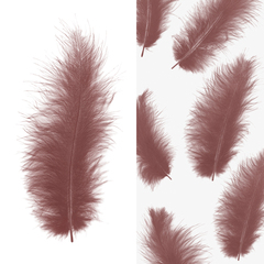 Перья Ретро Какао, 12*15 см, 30 шт.