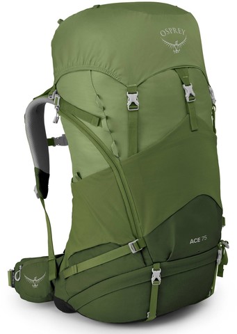 Картинка рюкзак туристический Osprey Ace 75 Venture Green - 1