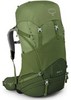 Картинка рюкзак туристический Osprey Ace 75 Venture Green - 1