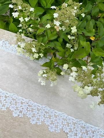 Комплект салфеток для сервировки Emozioni Sogno