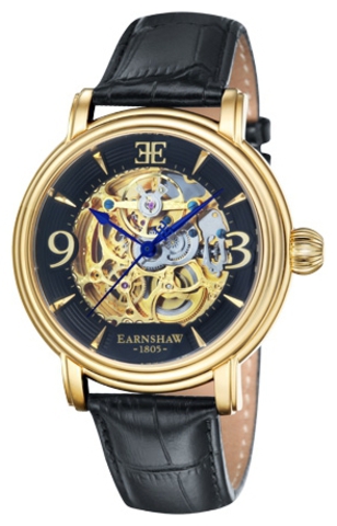 Наручные часы Thomas Earnshaw ES-8011-03 фото