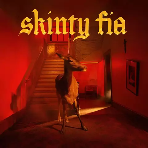 Виниловая пластинка. Fontaines D.C. – Skinty Fia