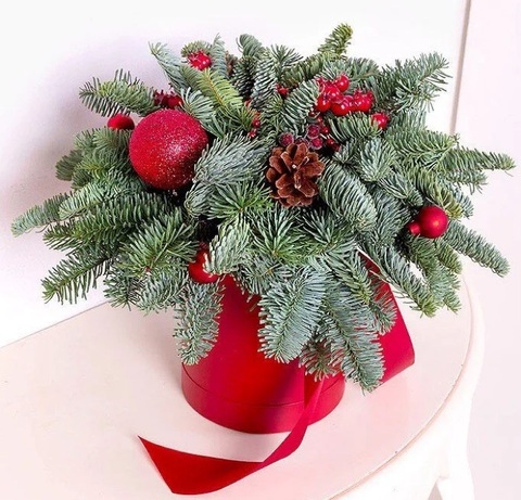 Композиции с нобилисом