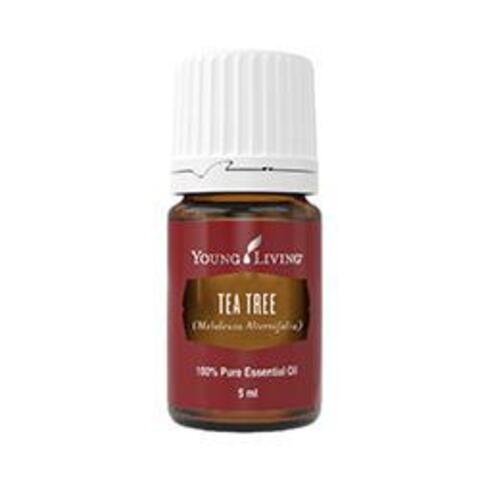 Чайное дерево (Tea Tree) - 5 ml