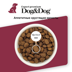 Dog&Dog Expert Premium Super-Power сухой корм для взрослых активных собак (курица) 3кг