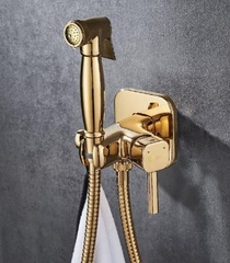 Смеситель с гигиеническим душем, встраиваемый Lemark Solo - LM7165G