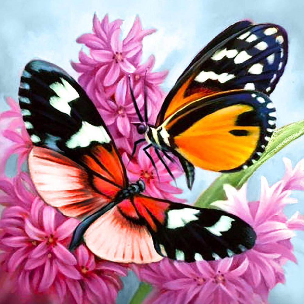Картины по номерам – бабочки