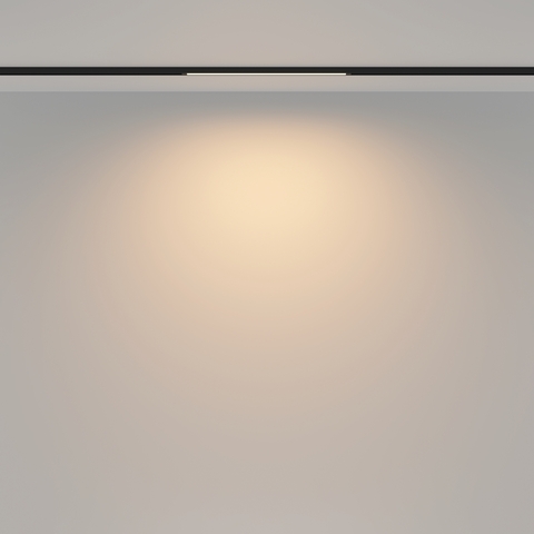 Трековый светильник Maytoni Basis TR173-1-8WTW-B