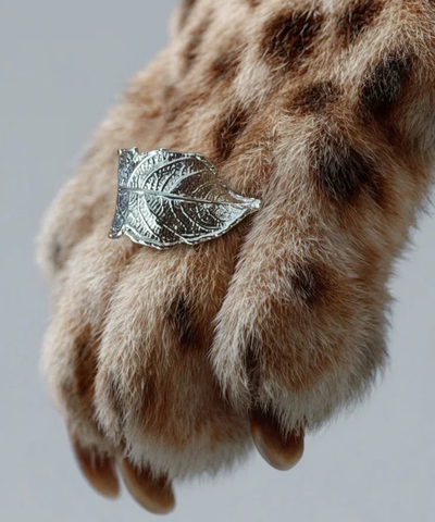 Кольцо Юг silver