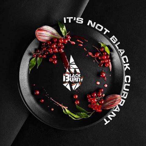 Табак Black Burn Its not black currant (Красная смородина) 200г