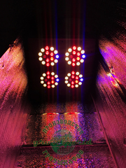В160хД40хШ40 ГроуБокс APO4 BLACK SUN LED SILENT