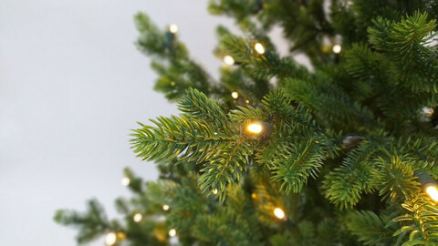 Ель 185см 200 ламп Black Box Городская 100% литая зеленая