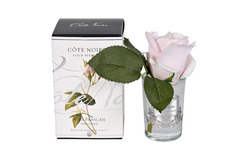 Диффузор Cote Noire Rose Bud French Pink и спрей White Gardenia 5мл