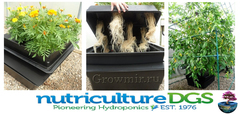 Amazon AEROPONICS,