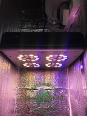 В160хД40хШ40 ГроуБокс APO4 BLACK SUN LED SILENT