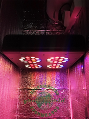 В160хД40хШ40 ГроуБокс APO4 BLACK SUN LED SILENT