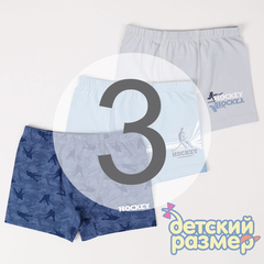 3 (5-6 лет)