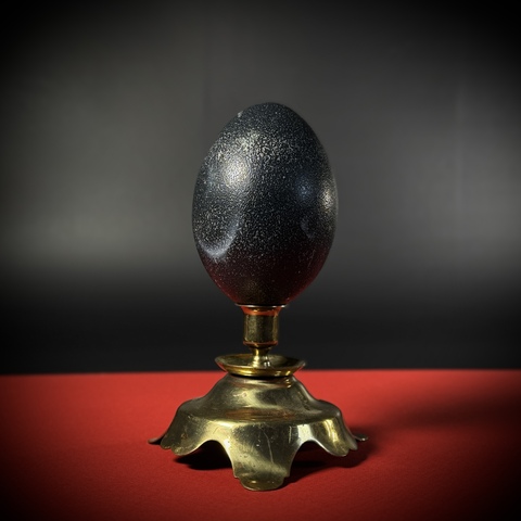 Яйцо страуса эму