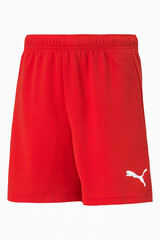 Шорты Puma teamRISE Junior