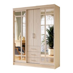 Шкаф-купе Маэстро