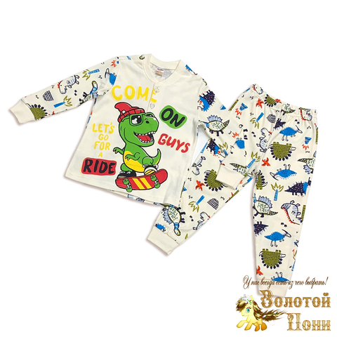 Пижама хлопок/инт м (1-4) 250911-ZK1073