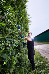 Аккумуляторный высоторез для живых изгородей Makita DUN500WZ