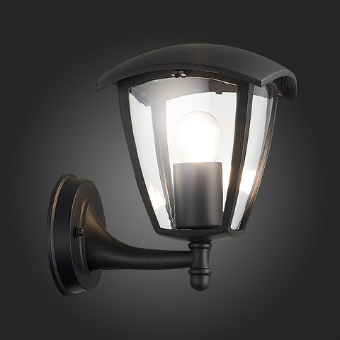 Светильник уличный ST Luce Sivino SL081.401.01