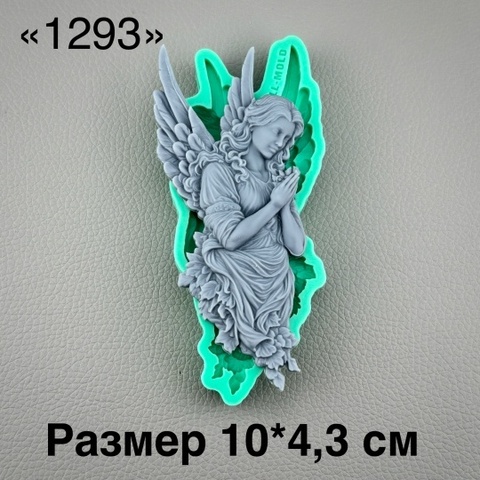 молд 