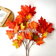 №2 Кленовые листья на ветке Желто-оранжево-зеленые, осенние, 70 см., набор 2 ветки