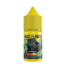 Ароматизатор VLIQ Max Flavor 14 мл - Кактус