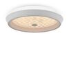 Потолочный светильник Freya Cells FR10012CL-L24W