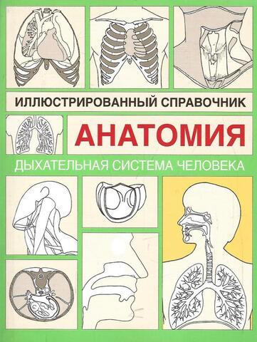 Анатомия. Иллюстрированный справочник. Дыхательная система человека