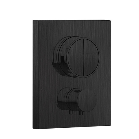 Almar E176682.AB Внешняя часть встраиваемого термостатического смесителя с кнопочным управлением для 2-х потребителей, цвет черный металл браш PVD