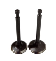 Клапаны (пара) LC1P70FA/500550029-0001