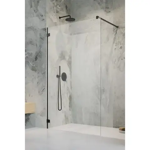 Radaway 10103095-54-01 Essenza Pro Black Walk-in 95