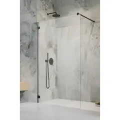 Radaway 10103095-54-01 Essenza Pro Black Walk-in 95 фото