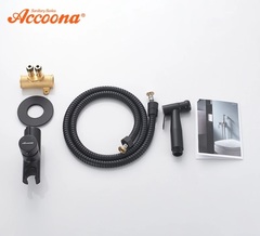 Встраиваемый смеситель с гигиеническим душем Accoona A3290F-3