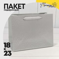 
          Пакет подарочный 23х18х10см Премиум "Элегант" (Серебряный)