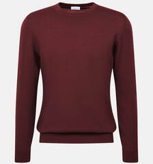 Пуловер мужской Seidensticker 01.251600-49 вишневый из шерсти Мерино