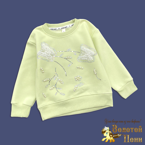 Свитшот трикотаж д (1-5) 260221-S7007