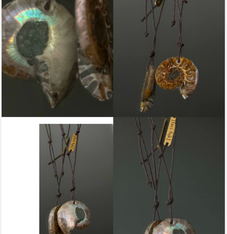 Чокер ammonite