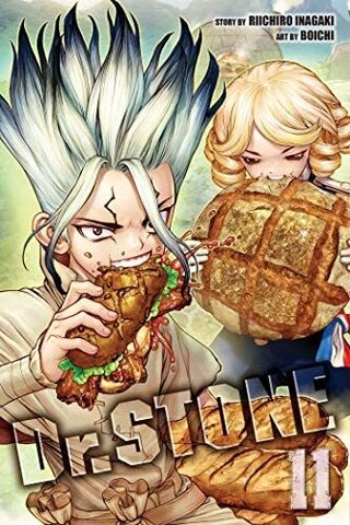 Dr STONE Volume 11 (На Английском Языке)