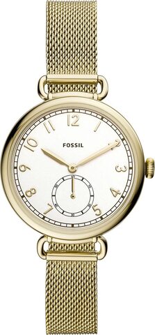 Наручные часы Fossil ES4887 фото