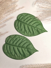 Молд пластиковый 