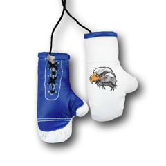 Перчатки боксерские комбинированные "Орел в цвете", белые с синим