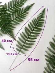 Папоротник, зелень искусственная, 56 см., набор 10 веток.