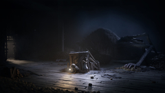 Reanimal (для ПК, цифровой код доступа)