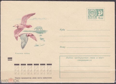 71-492 розовая чайка